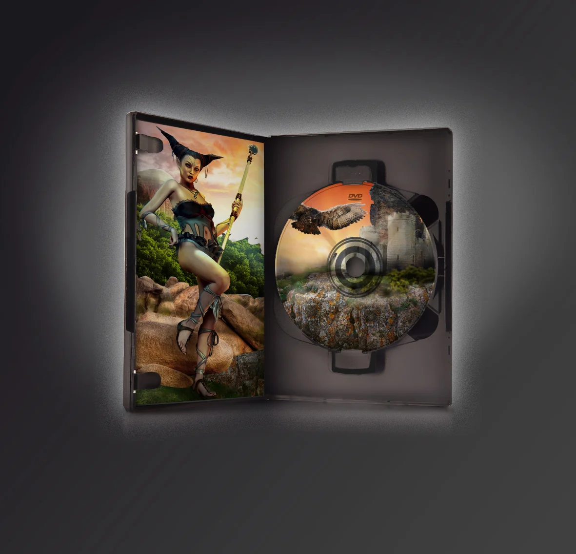 Custom printed disc packaging with full-color game artwork